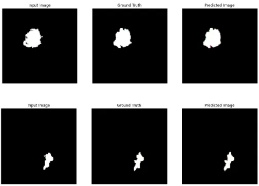 Figure 11: Samples that show good correction result 