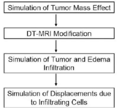 Figure 2. Construction of a tumor [11] 