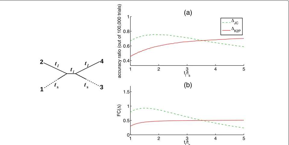 Figure 3 Performance of �JC and �K2P on a series of quartets of type B. A series of homogeneous K2P quartets is considered (left illustration),with ti-tv ratio of R = 5, and edge lengths ti = 0.2, tl = 1, and ts ∈[ 0.2, 1]