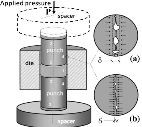 Fig. 1Overview of SPS punches/die assembly and contacts classiﬁcation.Loose (a) and close (b) contact correspond respectively to small and largeinitial punch die clearance
