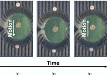 Fig. 1. Experimental set-up of the dynamic multileaf collimator (DMLC) target tracking system