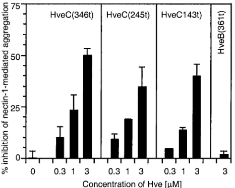 FIG. 3. Inhibition of nectin-1-mediated aggregation using solubletruncated forms of nectin-1