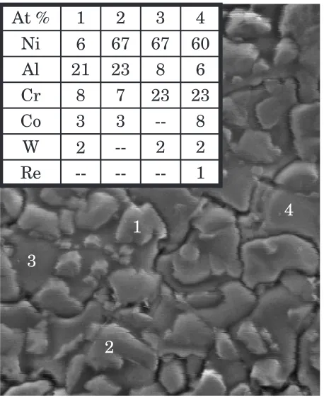 Figure 6 shows a surface image of the oxidized specimen.