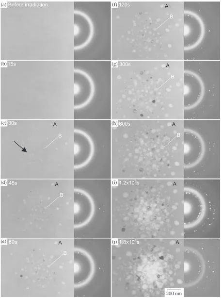 Fig. 3In-situ observation of change in TEM microstructure and corresponding SAD patterns of supercooled liquid in Zr66:7Cu33:3 alloy byUHVEM