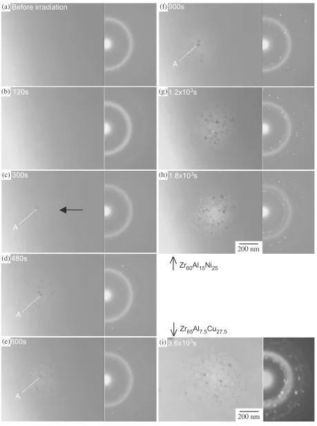Fig. 4In-situ observation of change in TEM microstructure and corresponding SAD patterns of supercooled liquid by UHVEM inZr60Al15Ni25 alloy (a to g), together with these of an amorphous phase in Zr65Al7:5Cu27:5 alloy (h)