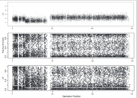 Figure 1 DNA copy number, fraction of B allele and LH values for chromosome 8 in sample GSM318736 from the Prostate Cancer datasethybridized to Aﬀymetrix Mapping250K Nsp