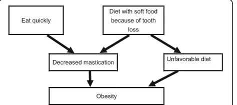 Fig. 2 Schema for the association between mastication and obesity