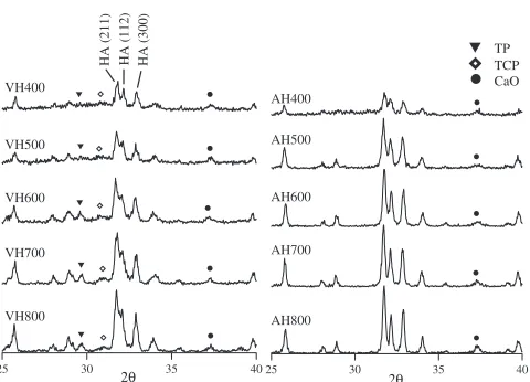Fig. 1The diﬀractograms of the HACs with vacuum heat treatment (VH),and atmospheric heat treatment (AH).