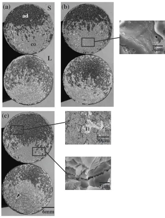 Fig. 10Failure morphologies of (a) the as-sprayed HACs, (b) VH600, and (c) AH800 specimens after tensile tests