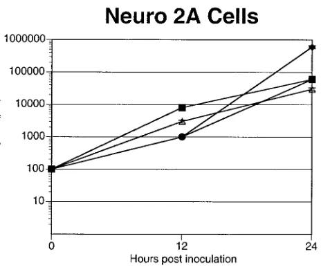 FIG. 4. Replication of the promoter substitution recombinants onmouse neuroblastoma cells in vitro