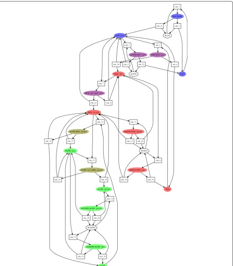 Figure 3 Some conservation laws of the MAPK model of [23]. 3 of the 7 P-invariants found in the MAPK cascade model of [23]