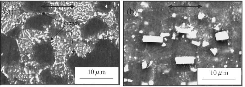 Fig. 11SEM micrographs showing the microstructures of post-crept (a) Mg-8Al creep tested at 423 K/100 MPa with the discontinuouslamellar precipitates and (b) Mg-8Al-3RE creep tested at 423 K/100 MPa without any lamellar precipitates