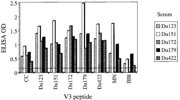TABLE 2. Amino acid sequences of V3 peptides