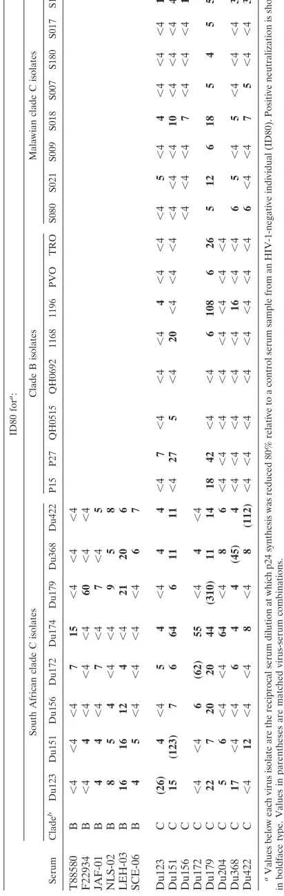 TABLE 3. Checkerboard analysis of clade B and C neutralization