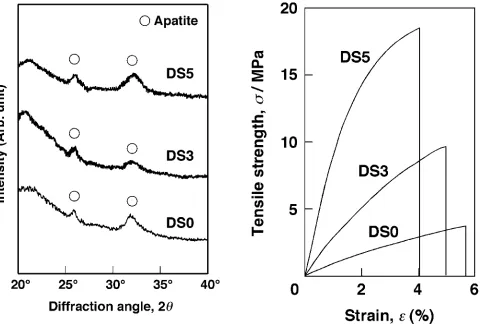 Fig. 3SEM photographs of the surfaces of the GPS-starch-CaCl2 hybrids after soaking in SBF for 7 days.