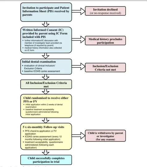 Figure 2 Participant flow through the trial.