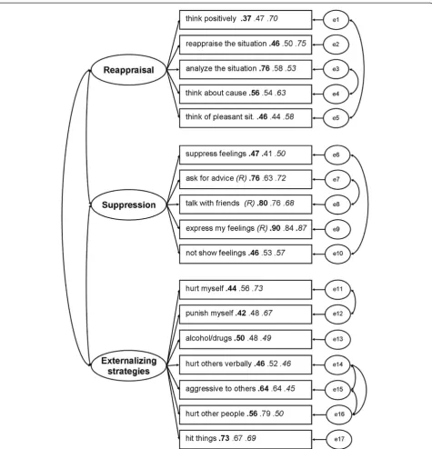 Table 3 Means and standard deviations of student sample and clinical subgroups