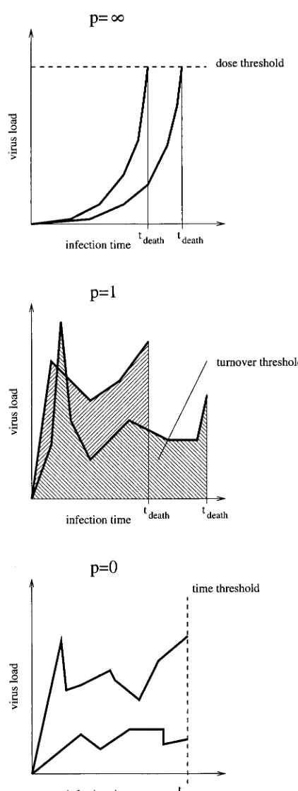 FIG. 1. Interpretation of model 1 for peach case we show two hypothetical virus load progressions and the � 0, p � 1, and p � �
