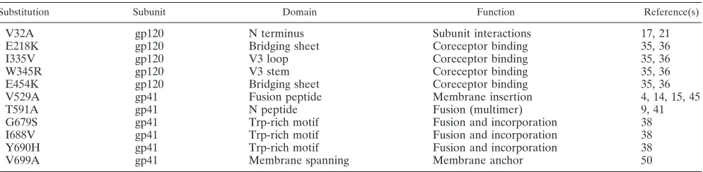 FIG. 5. Infectivity of passaged SIVmac239��collected weekly. Supernatants collected on days 85 (d85), 119, and 133of passage were normalized for p27 content and used to infect freshV1V2 was passaged continuously on 221 cells, and supernatants wereV1V2