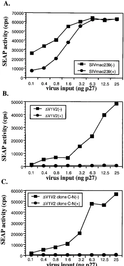 FIG. 7. (A) Surface expression of the envelope. 293T cells weretransfected with Env expression constructs, and cells were harvested