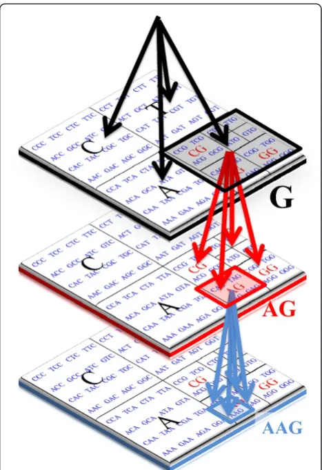 Figure 2 CGR and Suffix Tree comparison. CGR and suffix treecomparison. The CGR of each suffix is close in the map, whichrelates directly to suffix trees structure.
