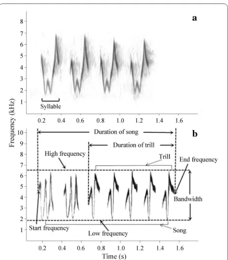 Fig. 1 Spectrogram of two distinct kinds of song in Dusky Warblers (a S-song; b V-song)