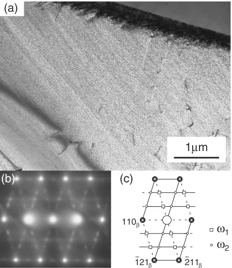 Fig. 4Optical micrographs of 0B (a) and 0.07B (b).