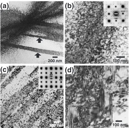 Fig. 12Bright ﬁeld image of Ti-6Zr-53Ni aged for 3.6 ks at 773 K andcompression tested for 5 cycles and corresponding electron diﬀractionpattern (inset, e� == ½001�B2).