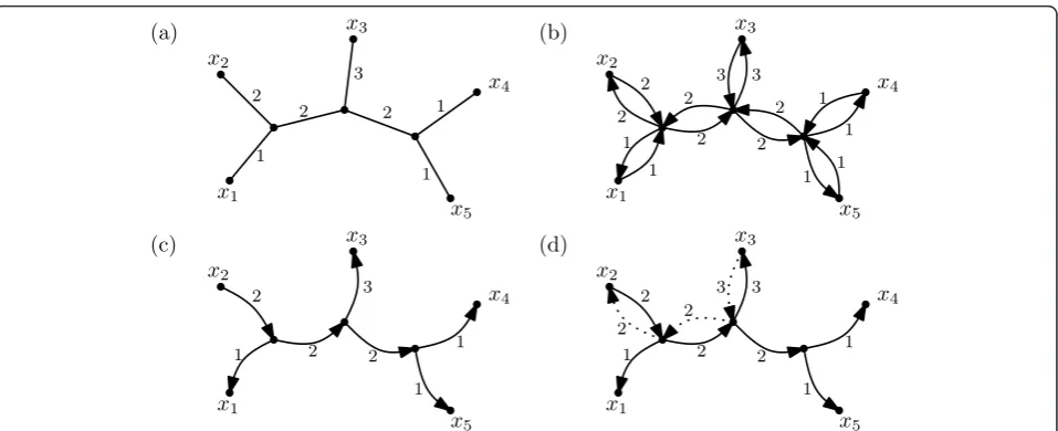 Figure 1 (a) A phylogenetic tree on X = {x1, x2, . . ., x5}. (b) Replacing each edge by a pair of directed arcs