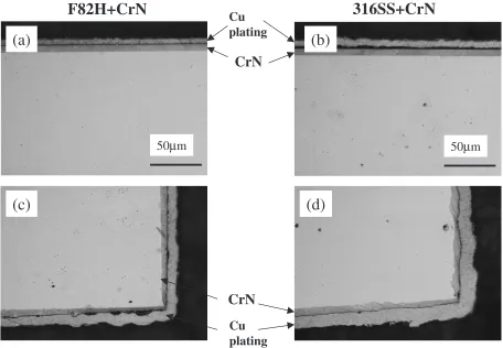 Fig. 2Optical micrographs of cross sections of specimens after corrosion test in liquid Pb-Bi at 450�C for 3000 h