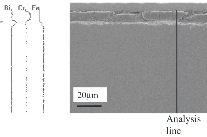 Fig. 5Optical micrographs of cross sections of specimens after corrosion test in liquid Pb-Bi at 550�C for 3000 h