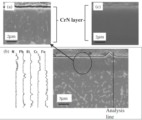 Fig. 9Photographs of the surface of CrN-coated F82H: (a) as received, (b) after corrosion test in liquid Pb-Bi at 550�C for 3000 h and (c)after heating in Ar gas at 550�C for 20 h.