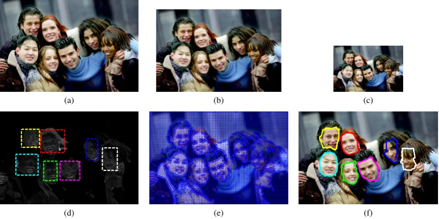Figure 3: Our system’s performance in the case of multiple face detection in an image of a group consisting of several personswith diverse gender and origins: (a) original image; (b)-(c) downsampled images; (d) initial active contours; (e) multi-scale,multi-feature vector ﬂow ﬁeld; (f) ﬁnal active contour results.
