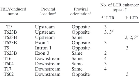 TABLE 1. Analysis of the enhancer repeats in TBLV LTRsnear the c-myc gene