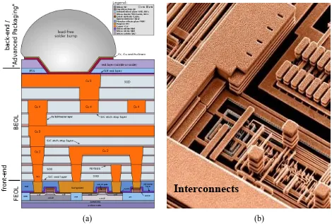 Figure 1-7: Wired interconnects. (a) chip cross-section view [11]; (b) 3D view [12].  