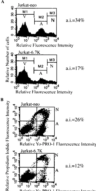 FIG. 2. E3-6.7K protects against apoptosis induced by Fas in Jur-kat-neo and Jurkat-6.7K cells