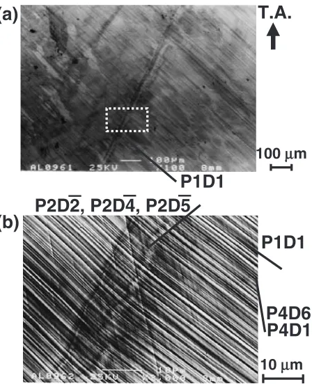 Fig. 3Nominal stress-strain curves for ordered sample OR-2 anddisordered sample DI-3.