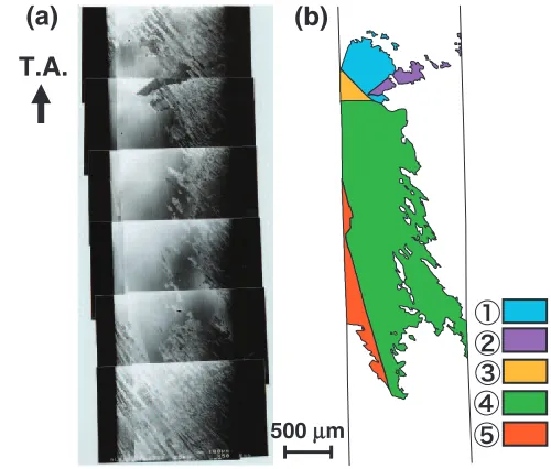 Fig. 7(a) SEM image of disordered sample DI-1 after annealing. (b)Schematic diagram of (a)