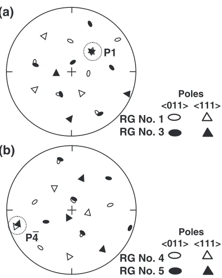 Fig. 8Stereographic projection of orientation of recrystallized grainshaving a twin relationship to each other