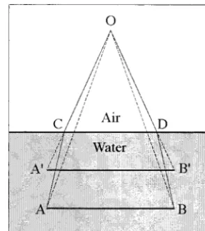Fig. 3.Magniﬁcation.