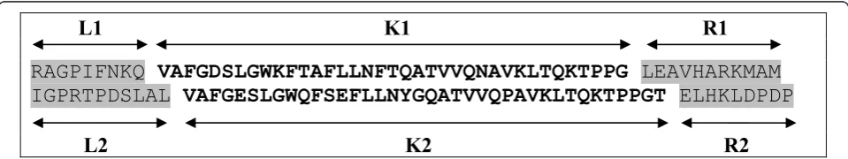 Figure 1 Modified sequences with consolesand deletions). Then. Here L1, L2, K1, K2, R1, R2 are left consoles, cores and right consoles of the first and secondmodified sequences; their lengths |L1| = |R2| = 9, |L2| = |R1| = 11, |K1| ≠ |K2| (inequality is explained by differing length of random insertions r = (|L1| + |R1|)/|P| = (9+11)/200 = 0.1, c = (|R1| - |L1|)/|(|L1| + |R1|) = 2/20 = 0.1, where |P| = 200 is the length of the initialsequence.