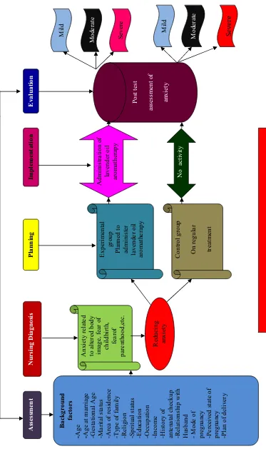 Fig 1 : Conceptual framework based on Nursing Process Model