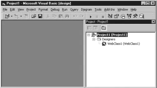 Figure 2-2. The Project Explorer for an IIS application