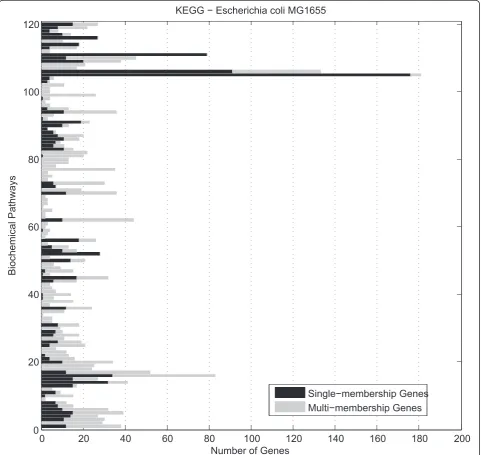 Figure 1 Number of single and multi-membership genes constituting each MG1655genes are represented in black, while multi-membership genes in lighter grey colour