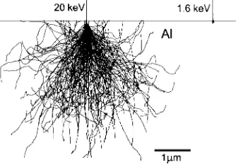 Fig. 3Monte-Carlo simulated scattering charts in Al for two energies ofelectron impact (simulation software of D.C