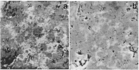 Fig. 6MgxSi precipitates in the Al-1.0 mass% Mg2Si-0.4 mass% Mgalloy: (a) SLEEM mode at the landing energy of 1600 eV and primaryenergy 10 keV, (b) standard SE image at 10 keV; width of the ﬁeld of viewis 7 mm.