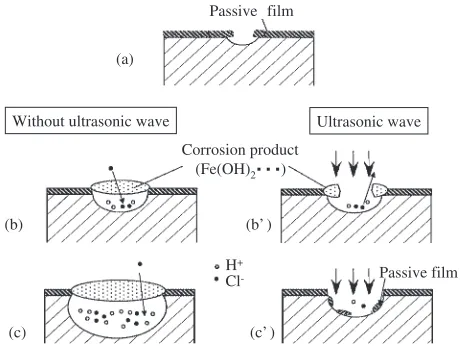 Fig. 10Decrease in growth of corrosion pits by application of ultrasonicwave.