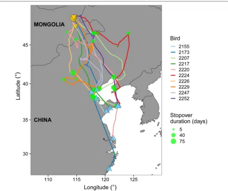 Fig. 1 Autumn migration routes of ten successfully tracked Common Shelducks (Tadorna tardorna) using GPS/GSM telemetry devices from Mongolian moulting areas to Chinese wintering quarters