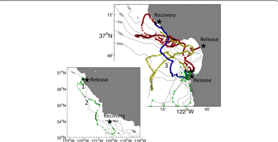 Table 2 Sonar tag settings and performance for the four translocated elephant seals