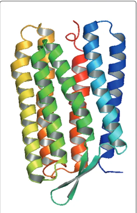 Figure 2 The 3D structure of bacterioRhodopsin (the structuralmodel PDB:1BRR). F and G helices are blue; D and E helices aregreen; B and C helices are yellow; A helix is red